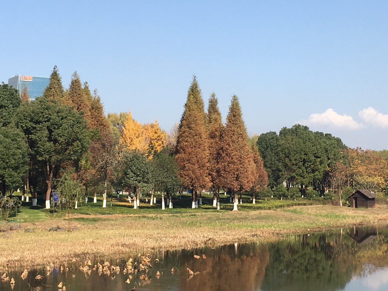 福田生态湿地公园图片