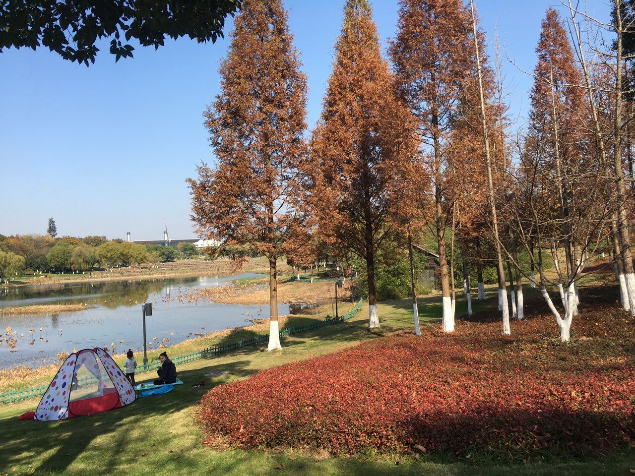 福田生态湿地公园图片